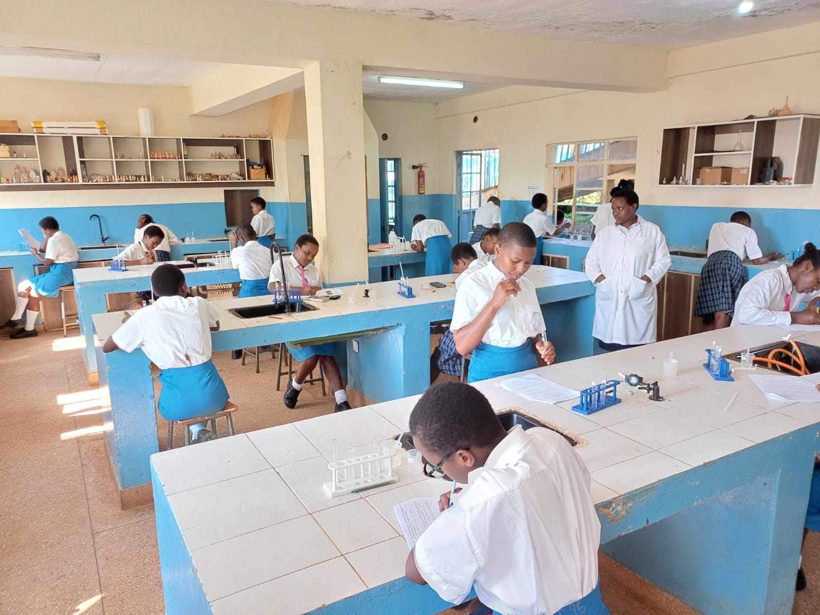 Students studying in the library